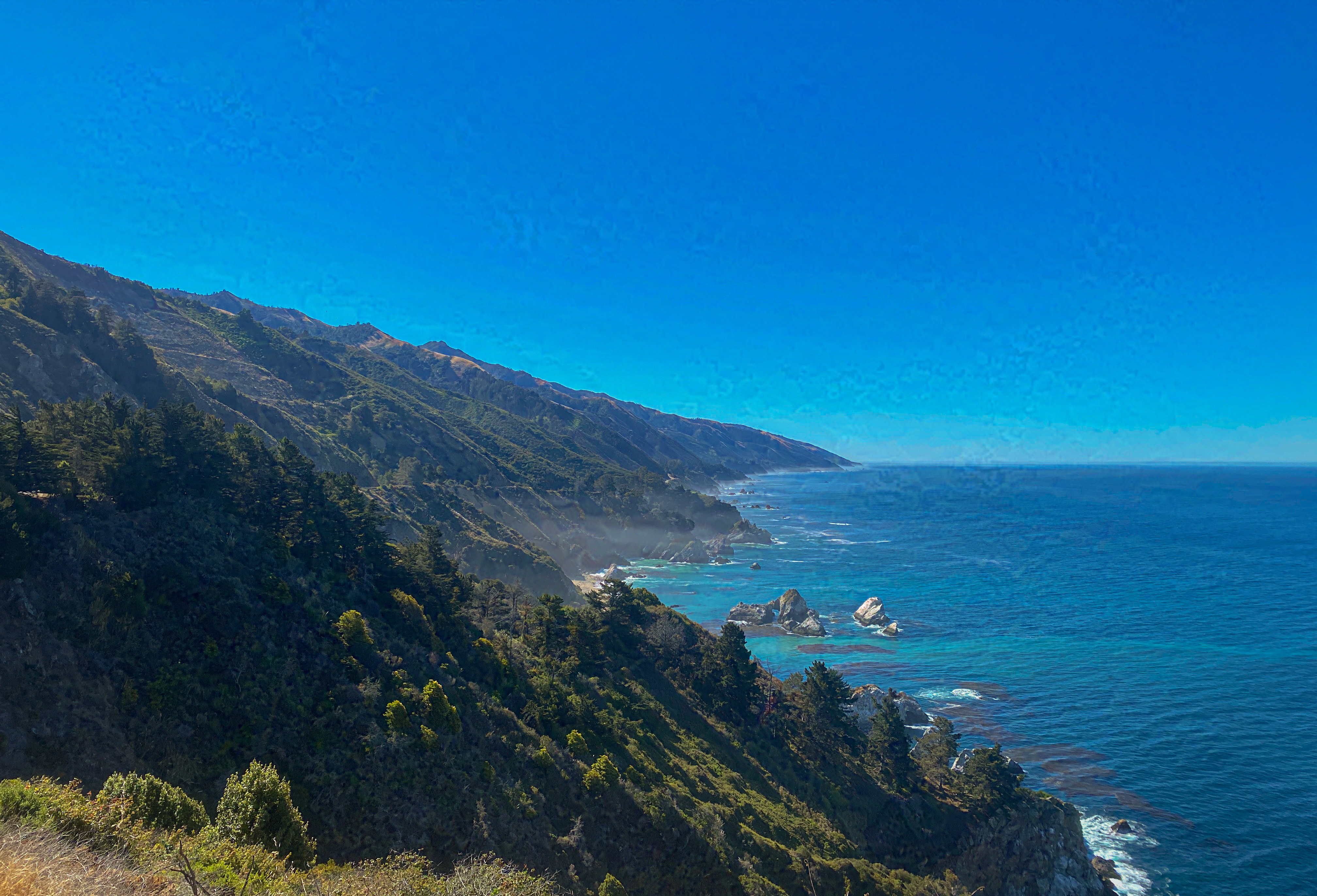 Steep green cliffs and rocky shoreline along the Pacific