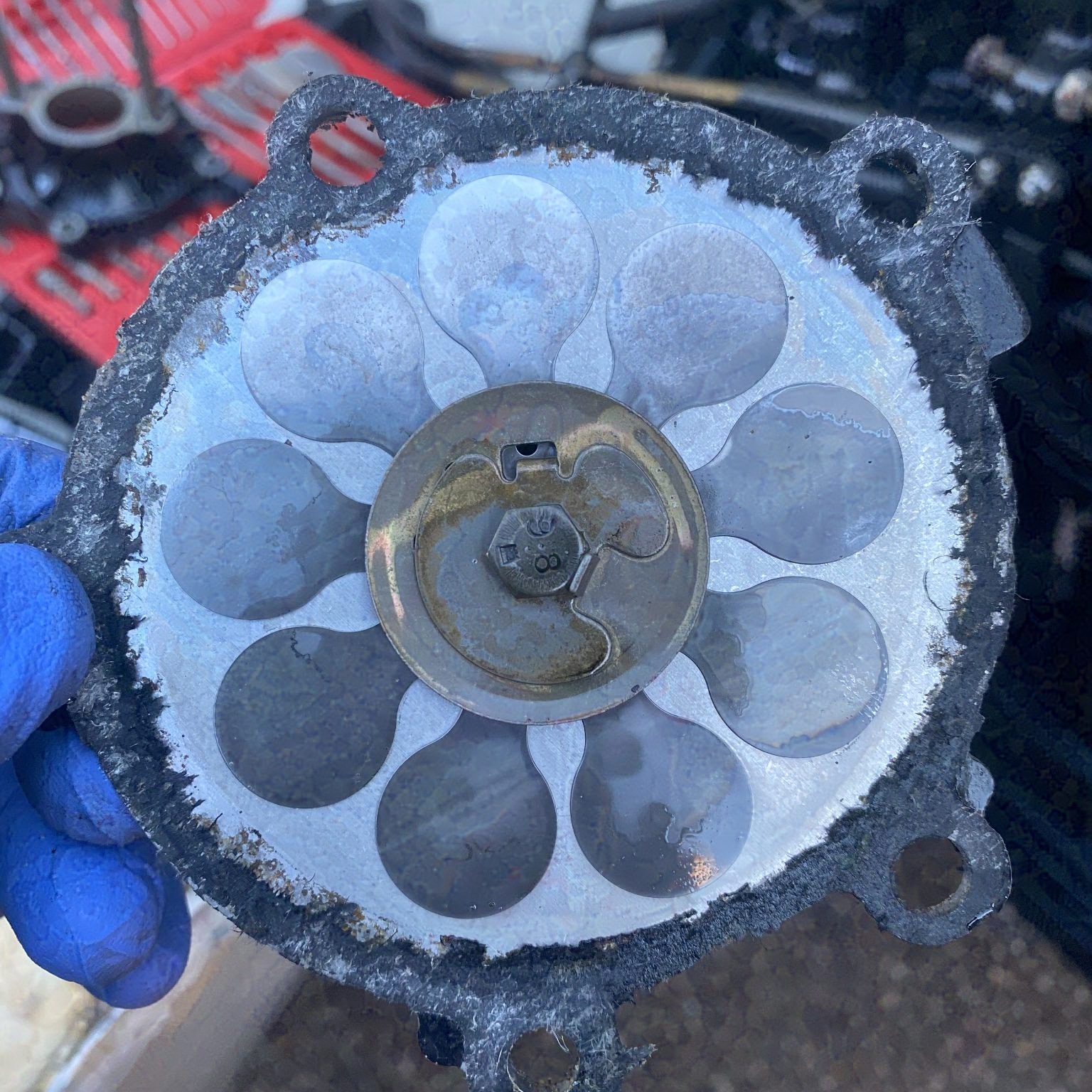 Reed valve inspection