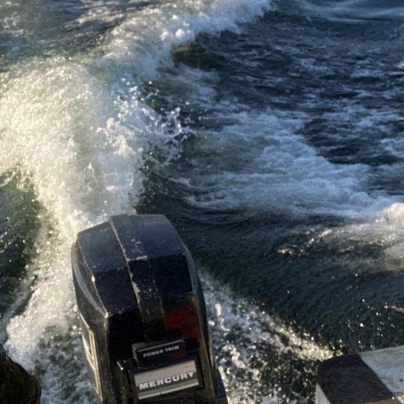 The boat on the water